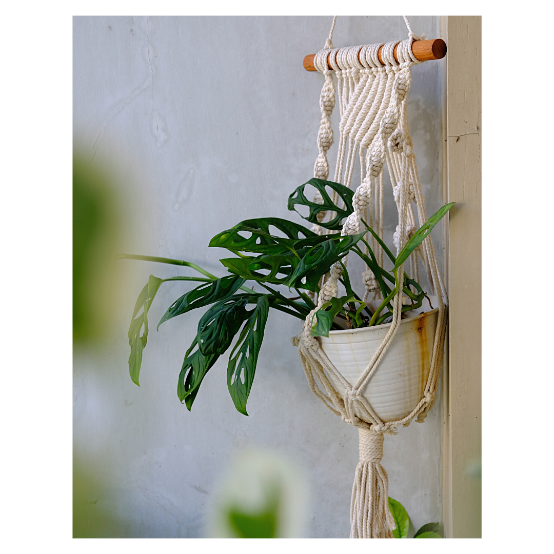 Makramee DIY Kit – Blumenampel mit Holzstab | Material & Anleitung